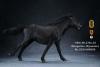  Artikelbild 4 des Artikels “Mongolica Horse (Black) - in 1:6 scale “