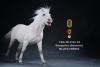  Artikelbild 4 des Artikels “Mongolica Horse (White) - in 1:6 scale “