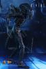  Artikelbild 4 des Artikels “Hot Toys, ALIEN WARRIOR “
