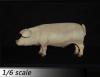  Artikelbild 4 des Artikels “Schwein  (Pink) 1/6 “