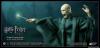  Artikelbild 4 des Artikels “1:8 LORD VOLDEMORT flash version “