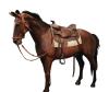  Product image 4 of the product “James Dean Horse Accessories Set (Marron) ”