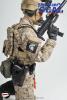  Artikelbild 4 des Artikels “US Navy Seal Team Six mit Hund “