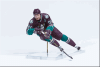  Product image 4 of the product “Sergei Fedorov ”