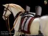  Product image 5 of the product “War Horse - Horse for General (White) ”
