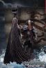  Product image 5 of the product “1/6 VIKING VANQUISHER VALHALLA SUITE ”