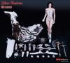  Product image 5 of the product “Silver Huntress 1/6th Scale Action Figure ”