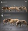  Artikelbild 5 des Artikels “1/6 Grauer Wolf “