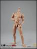  Product image 5 of the product “1/6 2.0 Long Neck male Body HIGH (narrow shoulders) ”