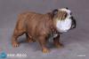  Artikelbild 5 des Artikels “British Bulldog (Brown) 1:6 “