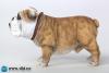  Artikelbild 5 des Artikels “British Bulldog (Light Brown ) 1:6 “