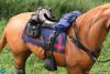  Artikelbild 5 des Artikels “Brown-Red War Horse (Standing) US Army Cavalry - 1/6 scale “