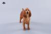  Product image 5 of the product “Cocker Spaniel Dog (Brown) 1/6 ”