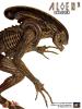  Product image 5 of the product “1:6 Hot Toys Aliens DOG ALIEN Alien Warrior ”