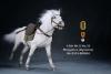  Artikelbild 5 des Artikels “Mongolica Horse (White) - in 1:6 scale “