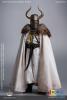  Artikelbild 5 des Artikels “1/6 NO.MA001C Medieval Teutonic Knights “
