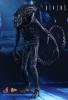  Artikelbild 5 des Artikels “Hot Toys, ALIEN WARRIOR “