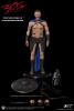  Product image 5 of the product “The 1/6th scale Themistokles Collectible ”