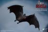  Product image 5 of the product “1/6 Scars Of Dracula - Count Dracula ”