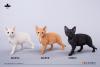  Artikelbild 6 des Artikels “1/3 Scale Devon Rex Cat (Black) “