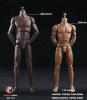  Artikelbild 6 des Artikels “1:6  Super Sports Body “