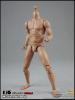  Product image 6 of the product “1/6 2.0 Long Neck male Body HIGH (narrow shoulders) ”