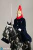  Product image 6 of the product “Blues & Royals - das Gardekavallerieregiments der britischen Armee - Show Exclusive ! ”
