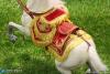  Product image 6 of the product “1/6 Emperor Of French - Napoleon Bonaparte War Horse  (White) ”