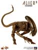  Product image 6 of the product “1:6 Hot Toys Aliens DOG ALIEN Alien Warrior ”