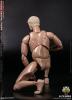 Product image 6 of the product “DAMTOYS 1/6 Russian Airborne Troops Antonov Airport - Senior Rifleman ”
