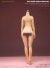  Product image 6 of the product “Female  Seamless Body - middle  Bust - (Pink) 1:6 ”