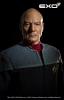  Artikelbild 6 des Artikels “Star Trek - First Contact Picard  1:6 scale “