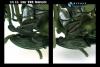  Artikelbild 7 des Artikels “US Army WWII Harley-Davidson Motorcycle (Olive Drab) “