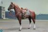  Product image 7 of the product “Anselm - WW II German - Brown WWII German War Horse (Standing)- in 1:6 ”