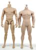  Artikelbild 7 des Artikels “Phicen Body Male 1:6 “