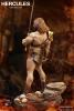  Product image 7 of the product “Hercules 1/6 ”