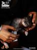  Artikelbild 7 des Artikels “THE GODFATHER. Vito Corleone 1:6 USED “