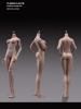  Artikelbild 7 des Artikels “TBLeague/Phicen Body  - mittler Oberweite - Hautfarbe Sun-Tan “