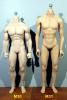  Product image 7 of the product “Phicen Body Male ”