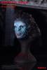  Artikelbild 7 des Artikels “Scars Of Dracula - Dracula Red 1:6 3.0 “