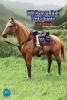  Artikelbild 8 des Artikels “Brown-Red War Horse (Standing) US Army Cavalry - 1/6 scale “