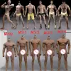  Product image 8 of the product “Phicen Body Male ”