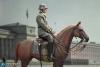  Product image 9 of the product “Anselm - WW II German - Brown WWII German War Horse (Standing)- in 1:6 ”