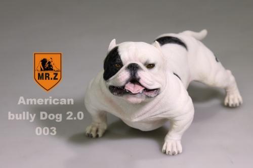 Product image of the product “MR.Z American Pitbull 2.0  1/6 ”