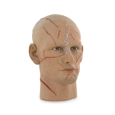 Artikelbild des Artikels “1:6 Headsculpt Tadanobu Asan “