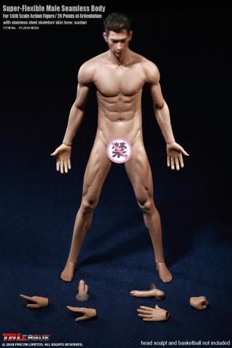 Product image of the product “Seamless Ultra Muscle Body M35 1/6 ”
