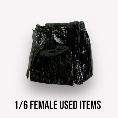 Artikelbild des Artikels “Female  Skirt  Lack 1/6 “