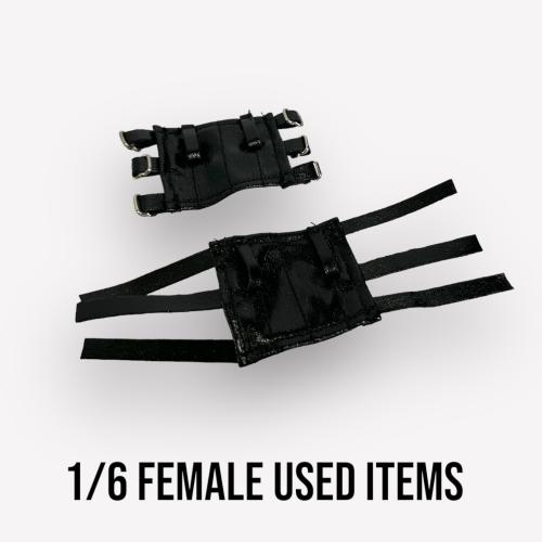 Artikelbild des Artikels “Female  Skirt  1/6 “