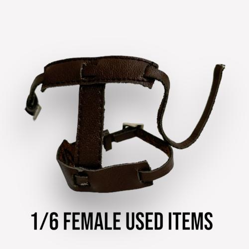 Product image of the product “Female Dropleg Straps  1:6 ”