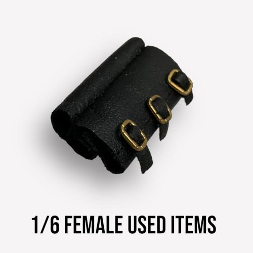 Product image of the product “Female Armgear 1:6 ”